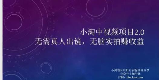 小淘项目组网赚永久会员，绝对是具有实操价值的，适合有项目做需要流程【持续更新】-讯领网创