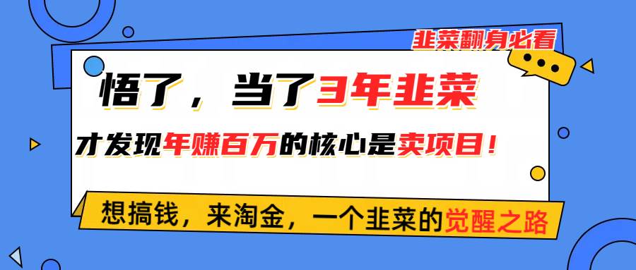 （10759期）悟了，当了3年韭菜，才发现网赚圈年赚100万的核心是卖项目，含泪分享！-讯领网创