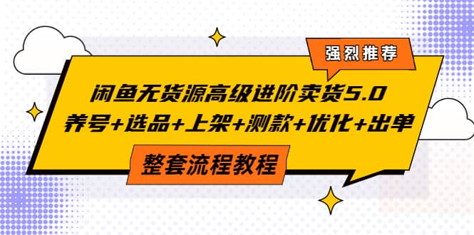 闲鱼无货源高级进阶卖货5.0，养号+选品+上架+测款+优化+出单整套流程教程-讯领网创