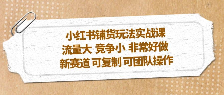 小红书铺货玩法实战课，流量大 竞争小 非常好做 新赛道 可复制 可团队操作-讯领网创