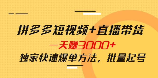 拼多多短视频+直播带货，一天赚3000+独家快速爆单方法，批量起号-讯领网创