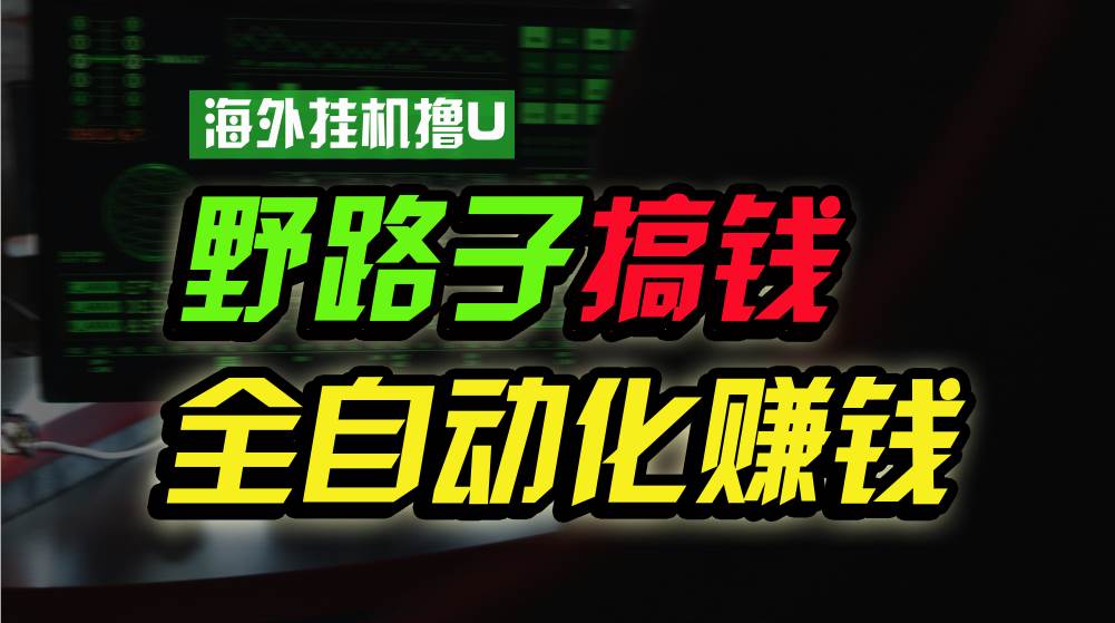 海外挂机撸U新平台，日赚8-15美元，全程无人值守，可批量放大，工作室内…-讯领网创