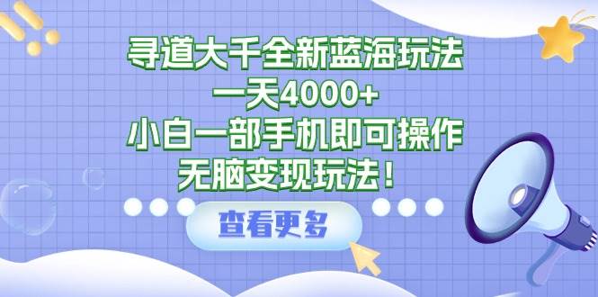 寻道大千全新蓝海玩法，一天4000+，小白一部手机即可操作，无脑变现玩法！-讯领网创