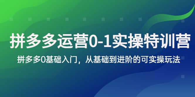 拼多多-运营0-1实操训练营，拼多多0基础入门，从基础到进阶的可实操玩法-讯领网创