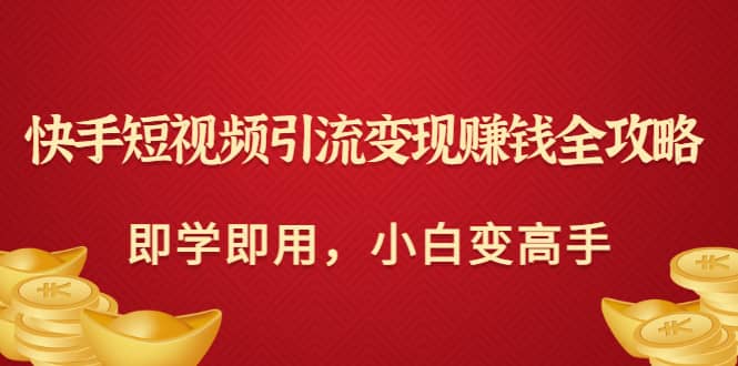 快手短视频引流变现赚钱全攻略：即学即用，小白变高手（价值980元）-讯领网创