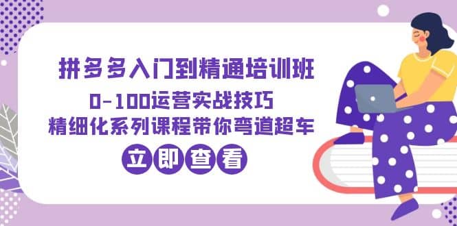 2023拼多多入门到精通培训班：0-100运营实战技巧 精细化系列课带你弯道超车-讯领网创