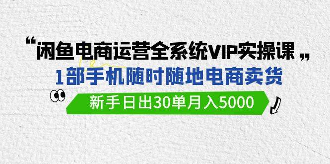 （9547期）闲鱼电商运营全系统VIP实战课，1部手机随时随地卖货，新手日出30单月入5000-讯领网创