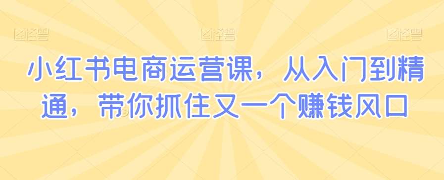 小红书电商运营课，从入门到精通，带你抓住又一个赚钱风口-讯领网创