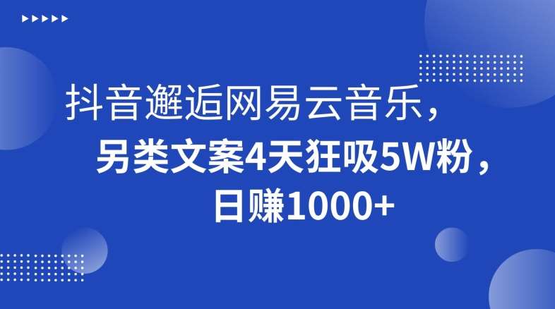 抖音邂逅网易云音乐，另类文案4天狂吸5W粉，日赚1000+【揭秘】-讯领网创