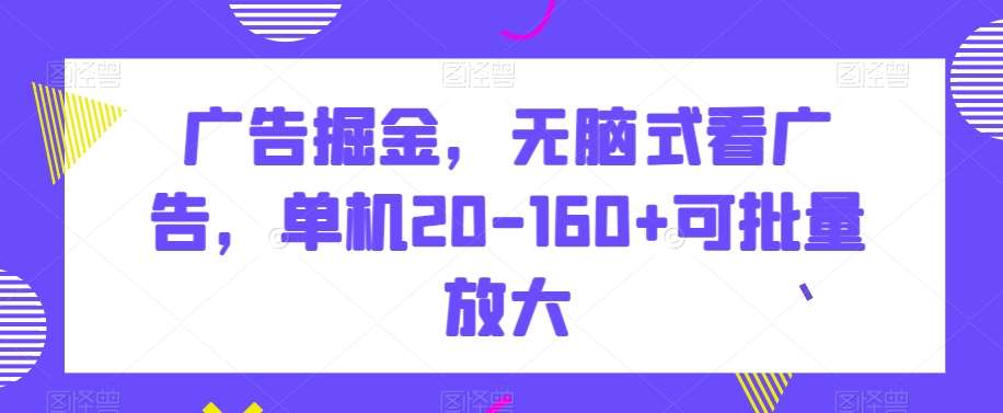 广告掘金，无脑式看广告，单机20-160+可批量放大【揭秘】-讯领网创