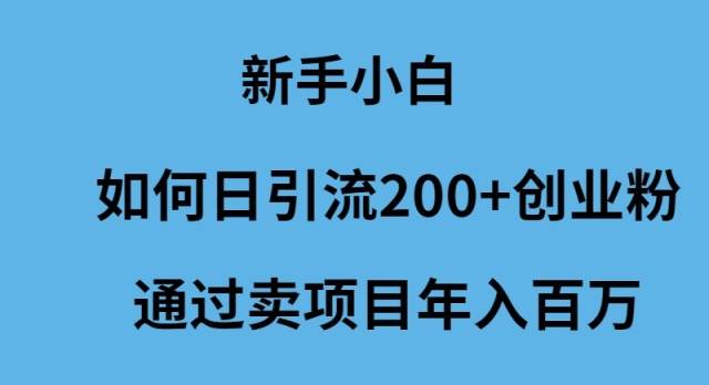 新手小白如何日引流200+创业粉通过卖项目年入百万-讯领网创