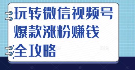 玩转微信视频号爆款涨粉赚钱全攻略，让你快速抓住流量风口，收获红利财富-讯领网创