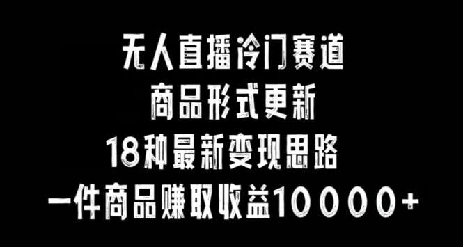 无人直播冷门赛道，商品形式更新，18种变现思路，一件商品赚取收益10000+【揭秘】-讯领网创