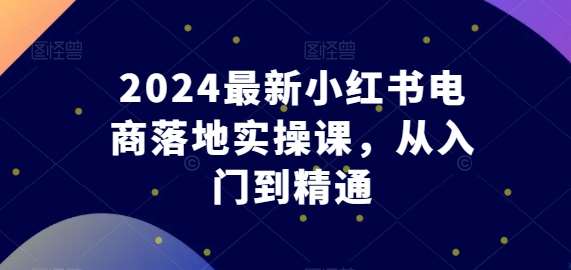 2024最新小红书电商落地实操课，从入门到精通-讯领网创