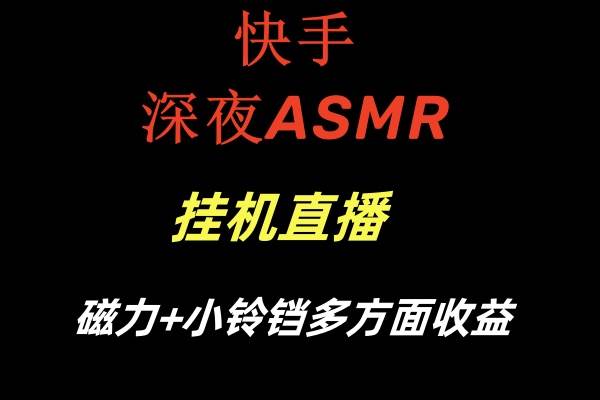 （8757期）快手深夜ASMR挂机直播磁力+小铃铛多方面收益-讯领网创