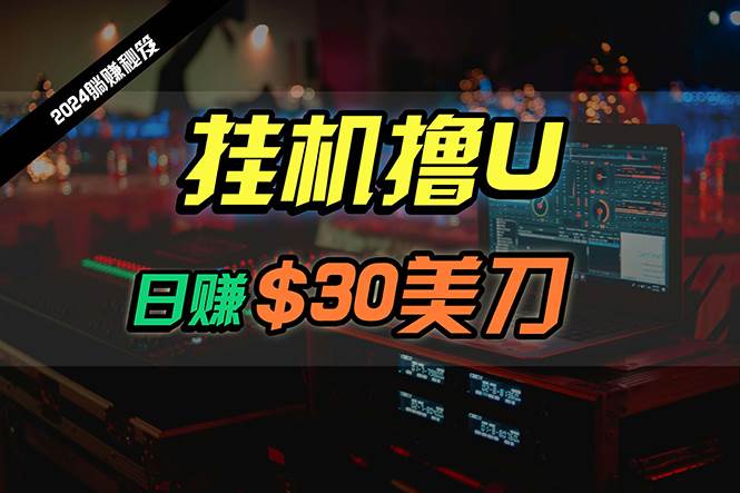 （10013期）日赚30美刀，2024最新海外挂机撸U内部项目，全程无人值守，可批量放大-讯领网创