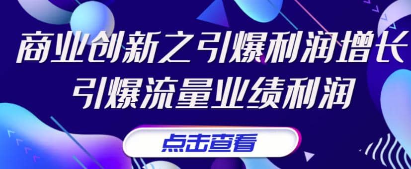 《商业创新之引爆利润增长》引爆流量业绩利润-讯领网创