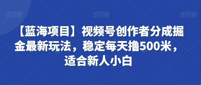 【蓝海项目】视频号创作者分成掘金最新玩法，稳定每天撸500米，适合新人小白【揭秘】-讯领网创