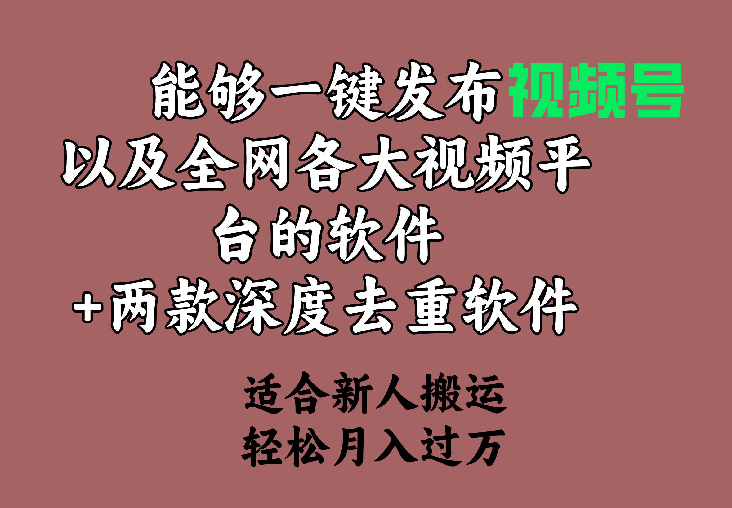 （9319期）能够一键发布视频号以及全网各大视频平台的软件+两款深度去重软件 适合…-讯领网创