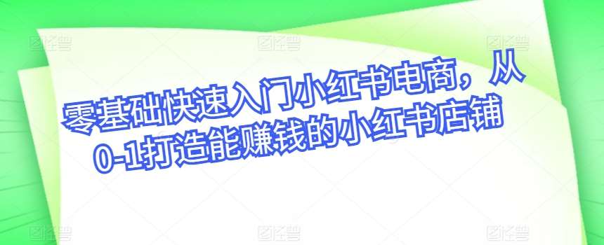 零基础快速入门小红书电商，从0-1打造能赚钱的小红书店铺-讯领网创