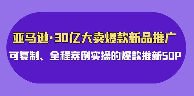 亚马逊30亿·大卖爆款新品推广，可复制、全程案例实操的爆款推新SOP-讯领网创