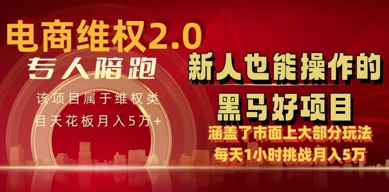 电商维权 4.0 如何做到月入 5 万+每天 1 小时新人也能快速上手【仅揭秘】-讯领网创