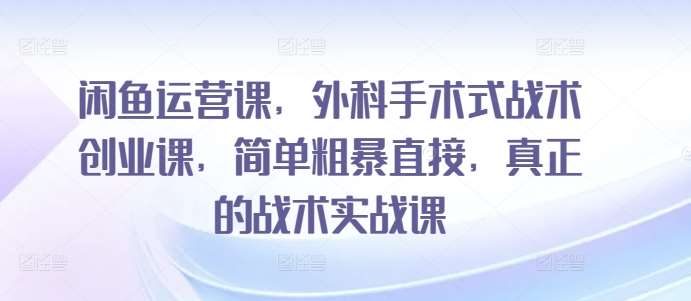 闲鱼运营课，外科手术式战术创业课，简单粗暴直接，真正的战术实战课-讯领网创