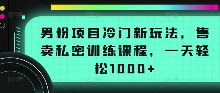 男粉项目冷门新玩法，售卖私密训练课程，一天轻松1000+【揭秘】-讯领网创