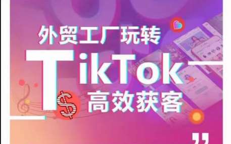 外贸工厂玩转TikTok高效获客，多种引流方式与账号定位技巧，拆解爆款短视频打造成功案例-讯领网创