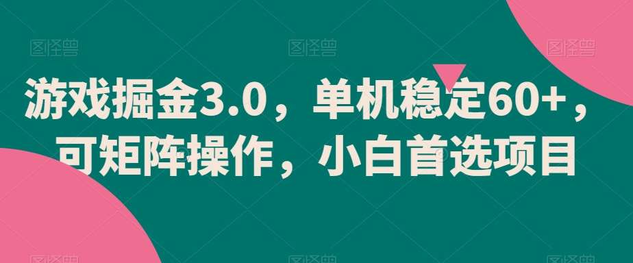 游戏掘金3.0，单机稳定60+，可矩阵操作，小白首选项目【揭秘】-讯领网创