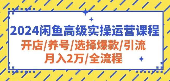 2024闲鱼高级实操运营课程：开店/养号/选择爆款/引流/月入2万/全流程-讯领网创