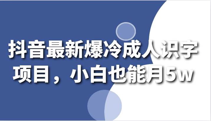 抖音最新爆冷成人识字项目，小白也能月5w-讯领网创