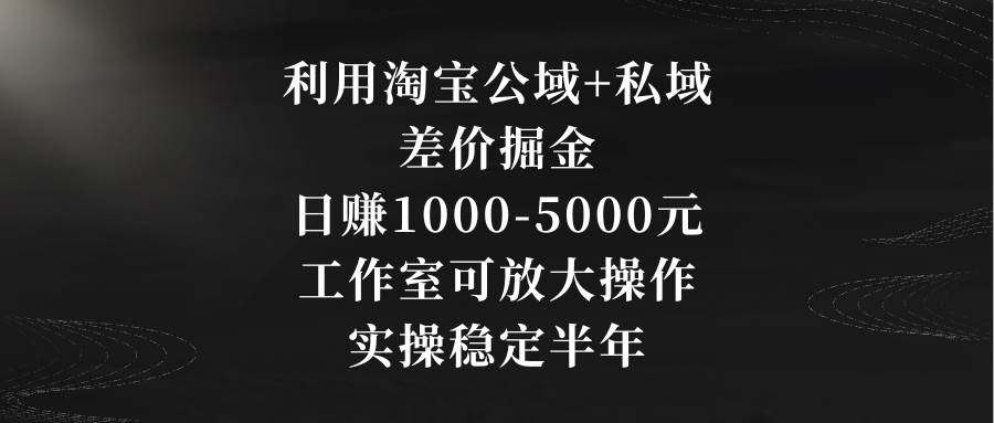 （8952期）利用淘宝公域+私域差价掘金，日赚1000-5000元，工作室可放大操作，实操…-讯领网创