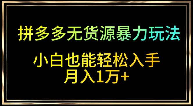 拼多多无货源暴力玩法，全程干货，小白也能轻松入手，月入1万+【揭秘】-讯领网创