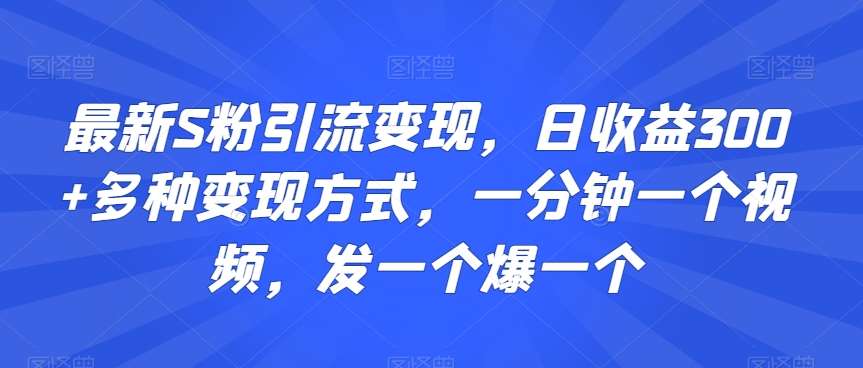 最新S粉引流变现，日收益300+多种变现方式，一分钟一个视频，发一个爆一个【揭秘】-讯领网创