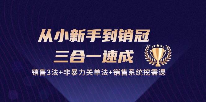 （10799期）从小新手到销冠 三合一速成：销售3法+非暴力关单法+销售系统挖需课 (27节)-讯领网创