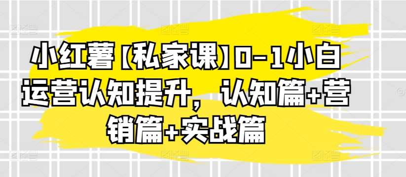 小红薯【私家课】0-1小白运营认知提升，认知篇+营销篇+实战篇-讯领网创