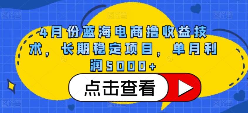 4月份蓝海电商撸收益技术，长期稳定项目，单月利润5000+【揭秘】-讯领网创