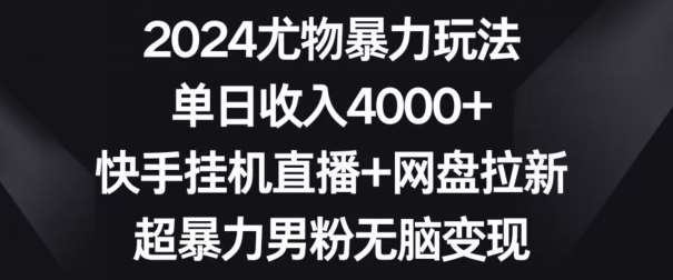 2024尤物暴力玩法，单日收入4000+，快手挂机直播+网盘拉新，超暴力男粉无脑变现【揭秘】-讯领网创