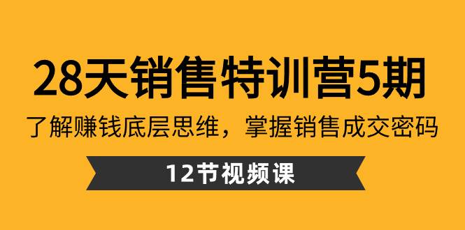 （8659期）28天·销售特训营5期：了解赚钱底层思维，掌握销售成交密码（12节课）-讯领网创