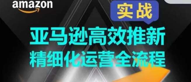 亚马逊高效推新精细化运营全流程，全方位、快速拉升产品排名和销量!-讯领网创