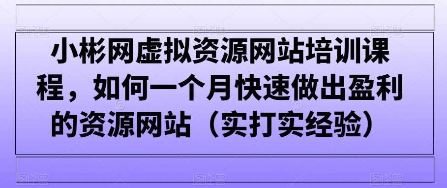 小彬网虚拟资源网站培训课程，如何一个月快速做出盈利的资源网站（实打实经验）-讯领网创