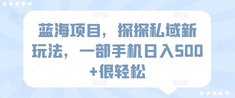 蓝海项目，探探私域新玩法，一部手机日入500+很轻松【揭秘】-讯领网创