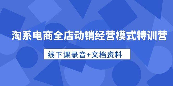 （10192期）淘系电商全店动销经营模式特训营，线下课录音+文档资料-讯领网创