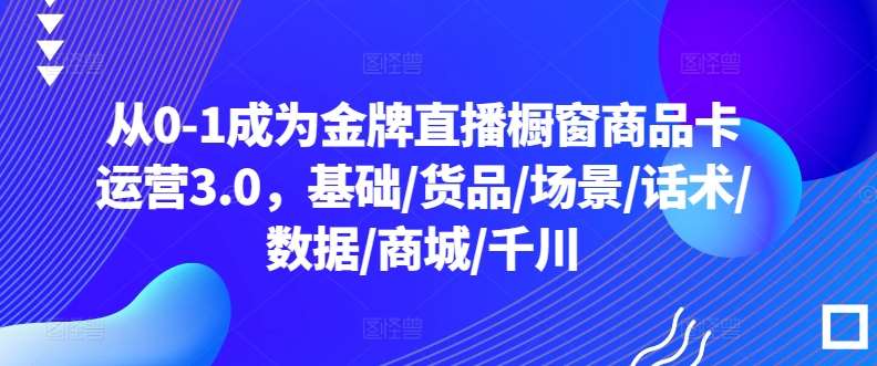 从0-1成为金牌直播橱窗商品卡运营3.0，基础/货品/场景/话术/数据/商城/千川-讯领网创