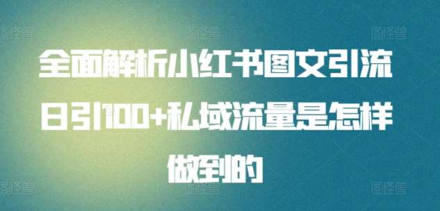 全面解析小红书图文引流日引100+私域流量是怎样做到的【揭秘】-讯领网创