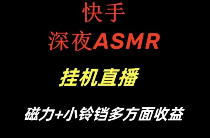 快手深夜性感ASMR挂机直播，磁力+小铃铛收益（附带工具和5G素材）【揭秘】-讯领网创