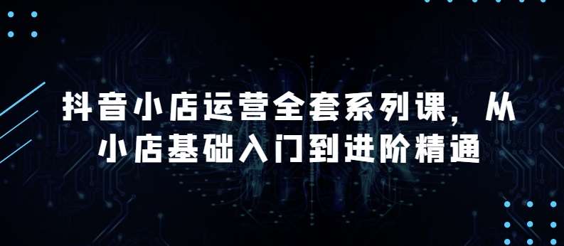 抖音小店运营全套系列课，全新升级，从小店基础入门到进阶精通，系统掌握月销百万小店的核心秘密-讯领网创