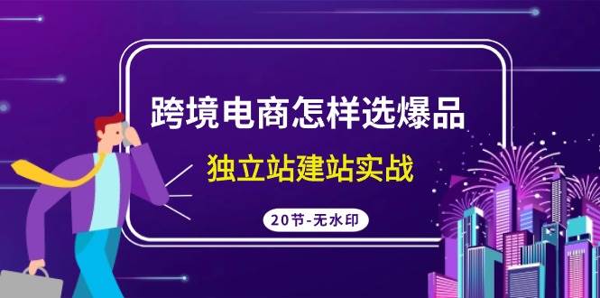 跨境电商怎样选爆品，独立站建站实战（20节高清无水印课）-讯领网创