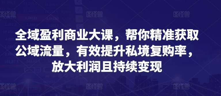 全域盈利商业大课，帮你精准获取公域流量，有效提升私境复购率，放大利润且持续变现-讯领网创